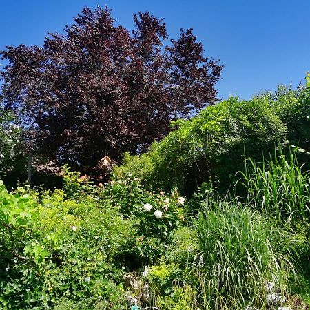 Ferienwohnung Nähe Spieleland Vogt Exterior foto