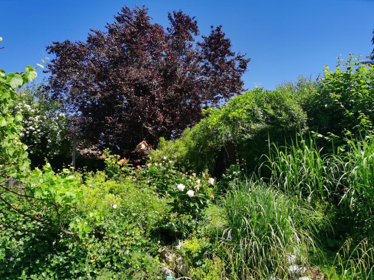Ferienwohnung Nähe Spieleland Vogt Exterior foto